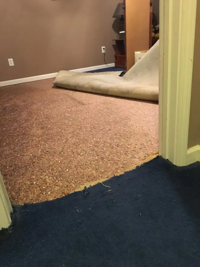 Carpet pad removal revealing water damage during Water Mitigation Services in Kokomo