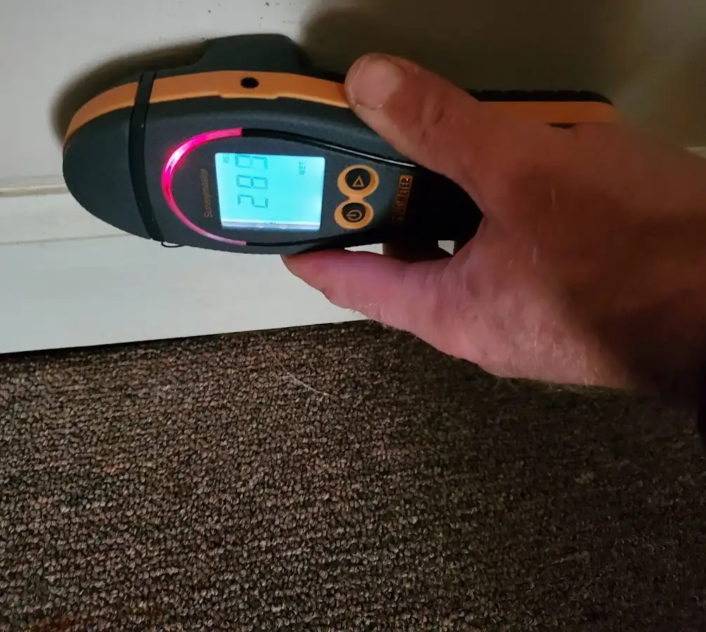 Moisture detection at baseboard during Mold Inspection & Testing in Kokomo